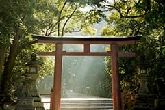 古くからの神社仏閣にも